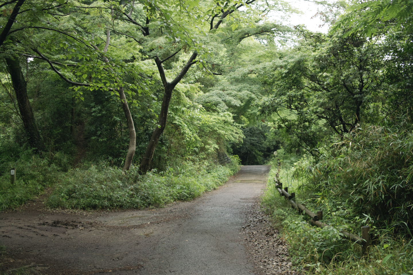 Tokorozawa, Iruma_Img