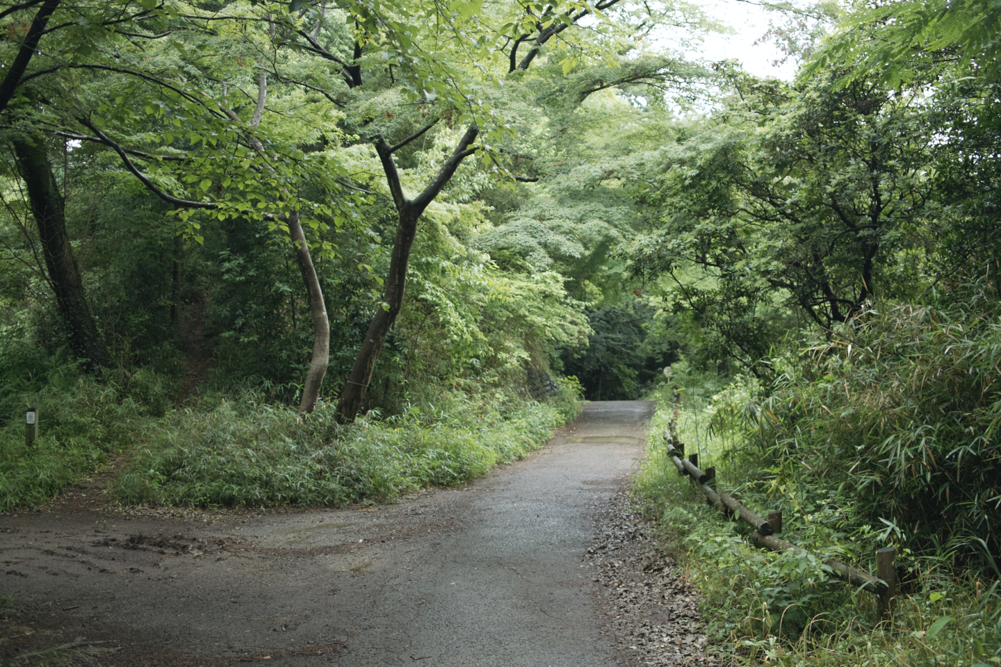 Tokorozawa, Iruma_Img