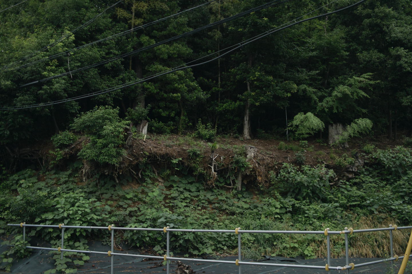 Tokorozawa, Iruma_Img