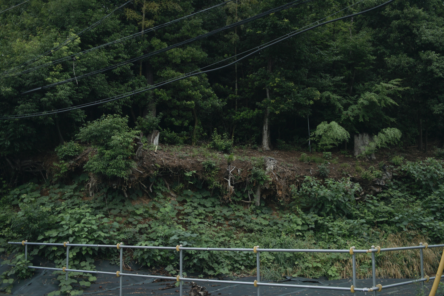 Tokorozawa, Iruma_Img