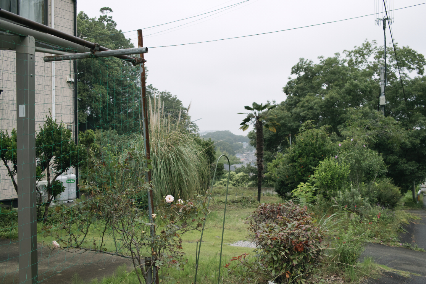 Tokorozawa, Iruma_Img