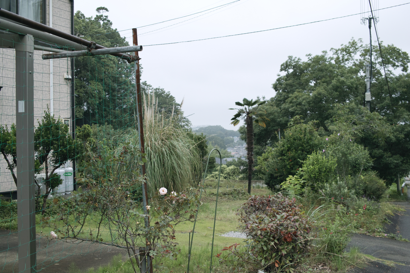 Tokorozawa, Iruma_Img