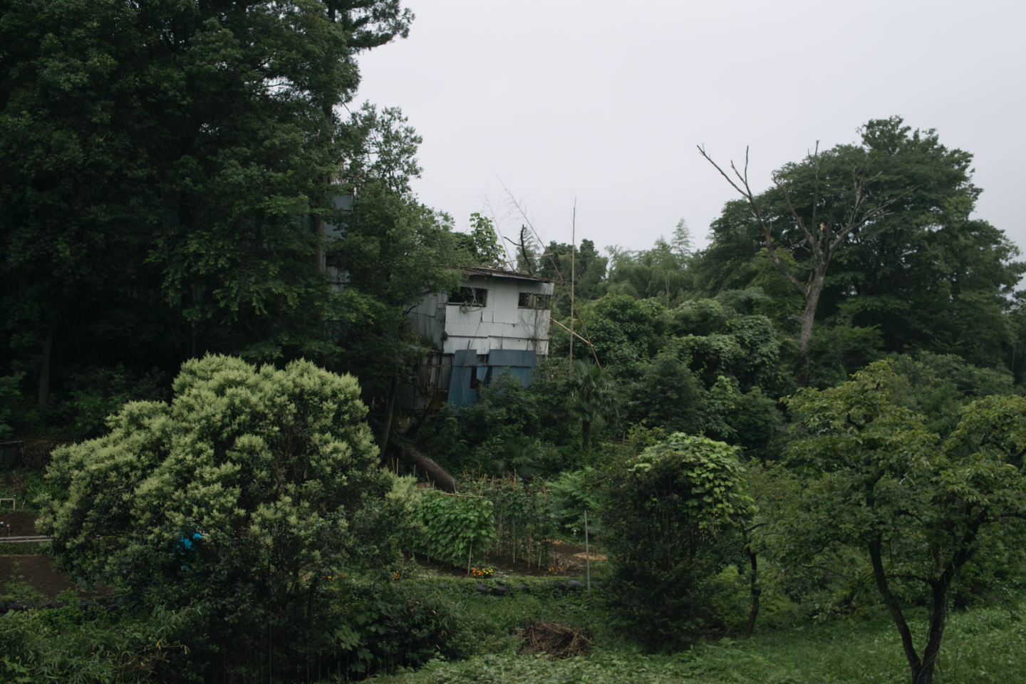 Tokorozawa, Iruma_Img