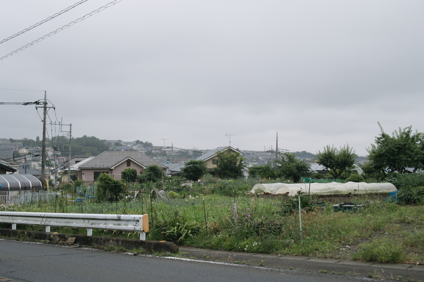 Tokorozawa, Iruma_Img
