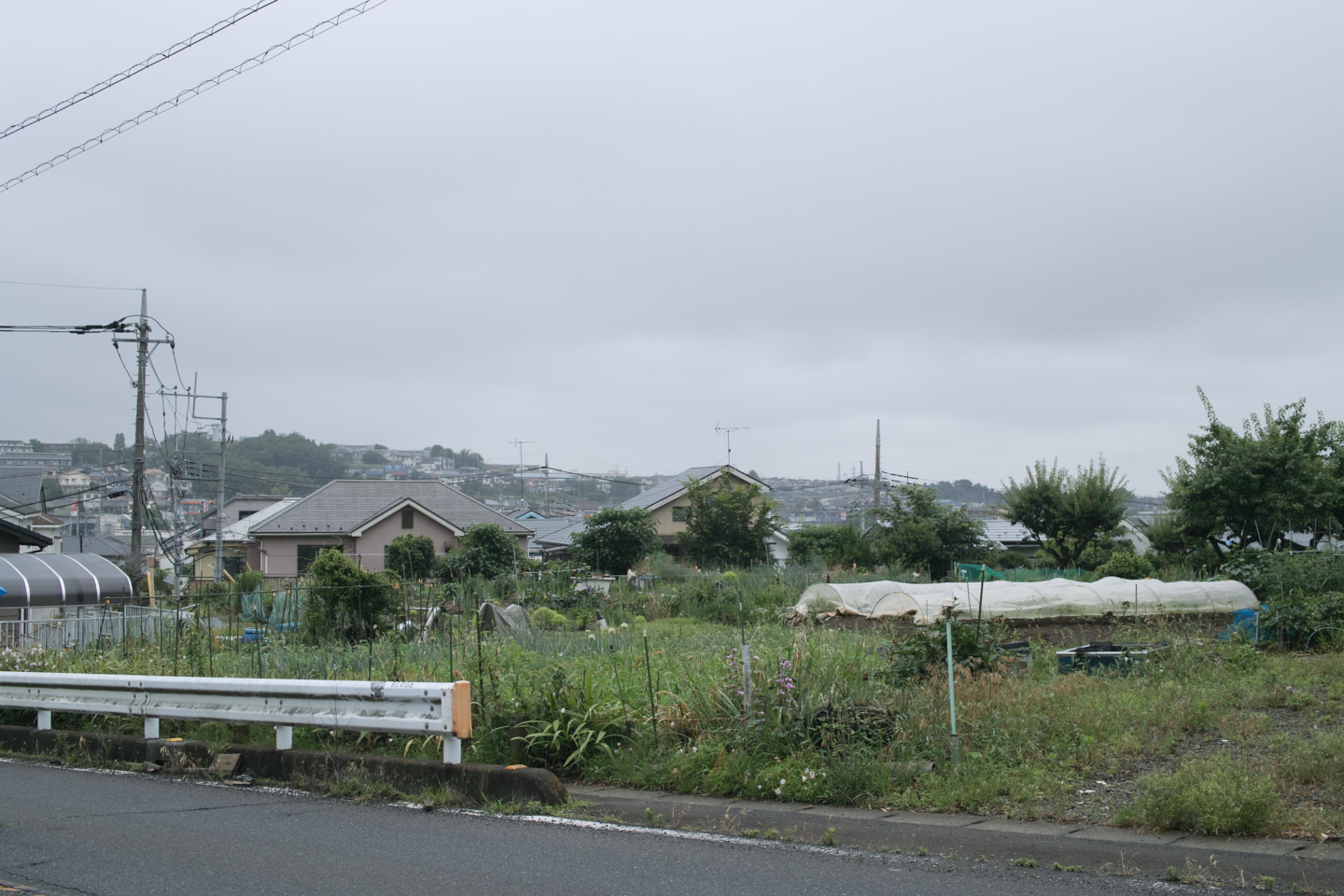 Tokorozawa, Iruma_Img