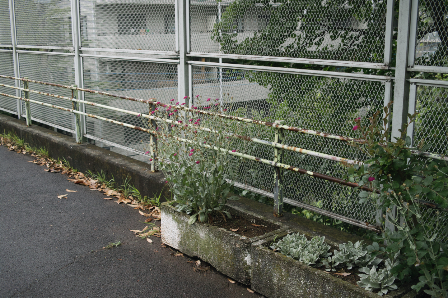 Tokorozawa, Iruma_Img