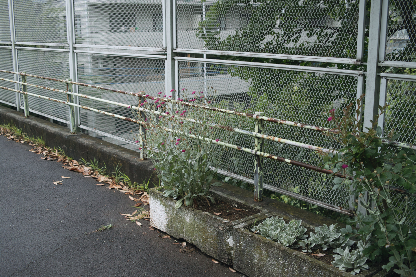 Tokorozawa, Iruma_Img