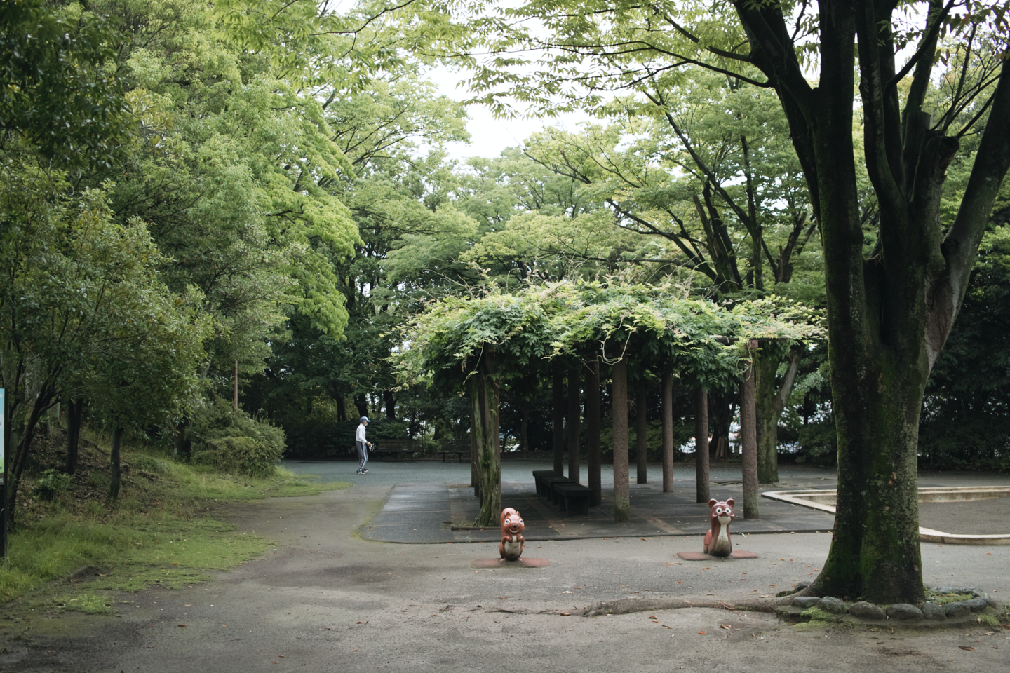 Tokorozawa, Iruma_Img