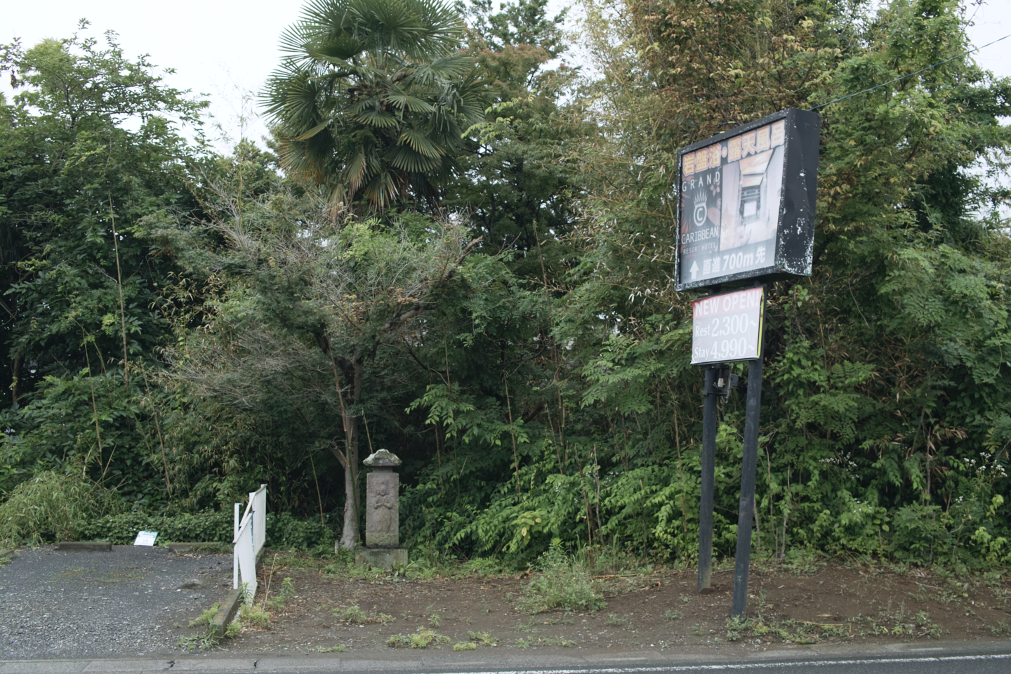 Tokorozawa, Iruma_Img