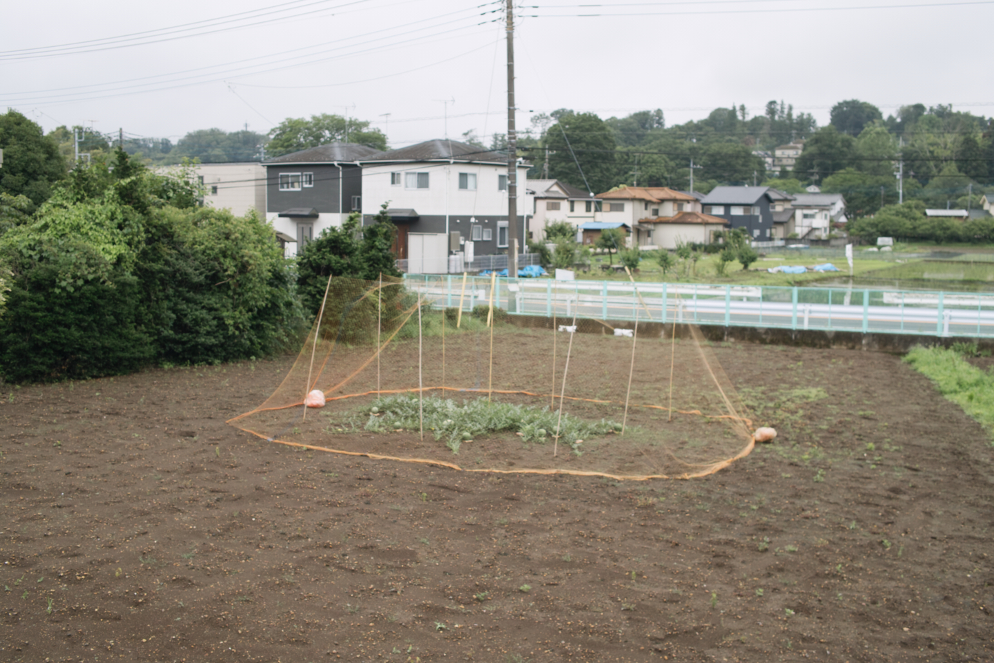 Tokorozawa, Iruma_Img