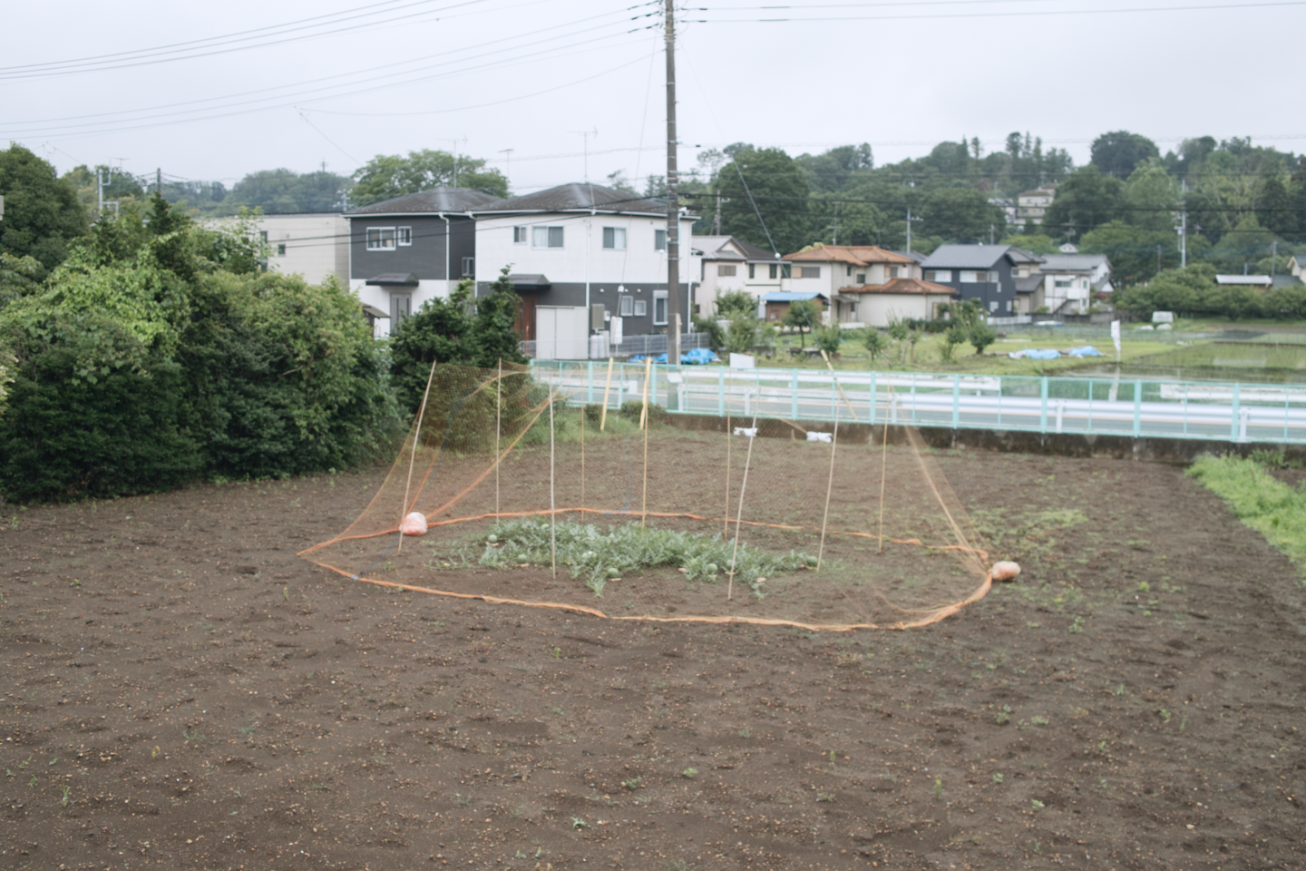 Tokorozawa, Iruma_Img