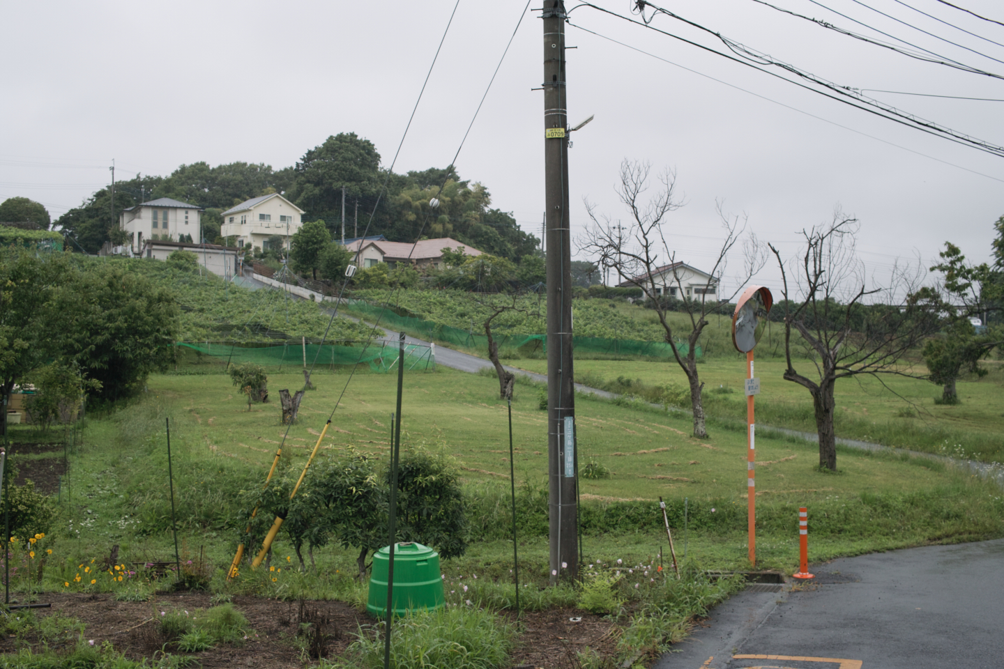 Tokorozawa, Iruma_Img