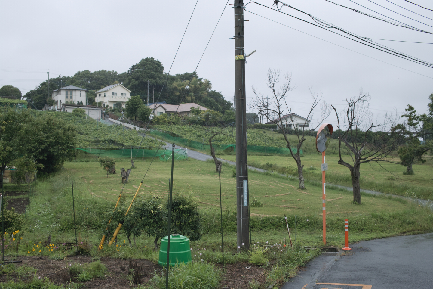 Tokorozawa, Iruma_Img