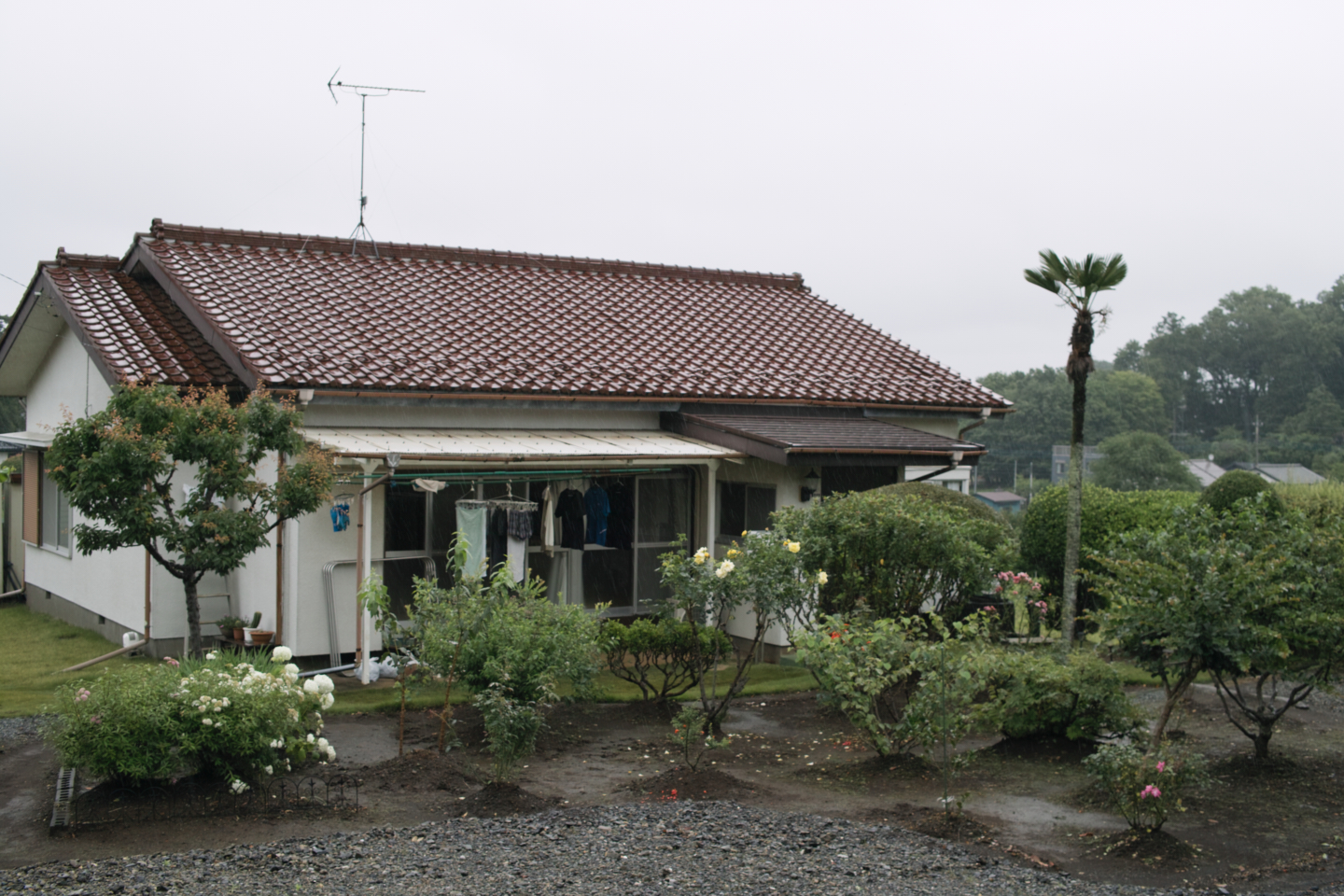 Tokorozawa, Iruma_Img