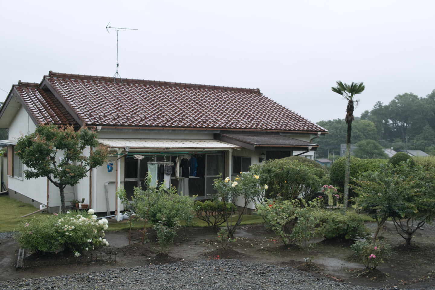 Tokorozawa, Iruma_Img