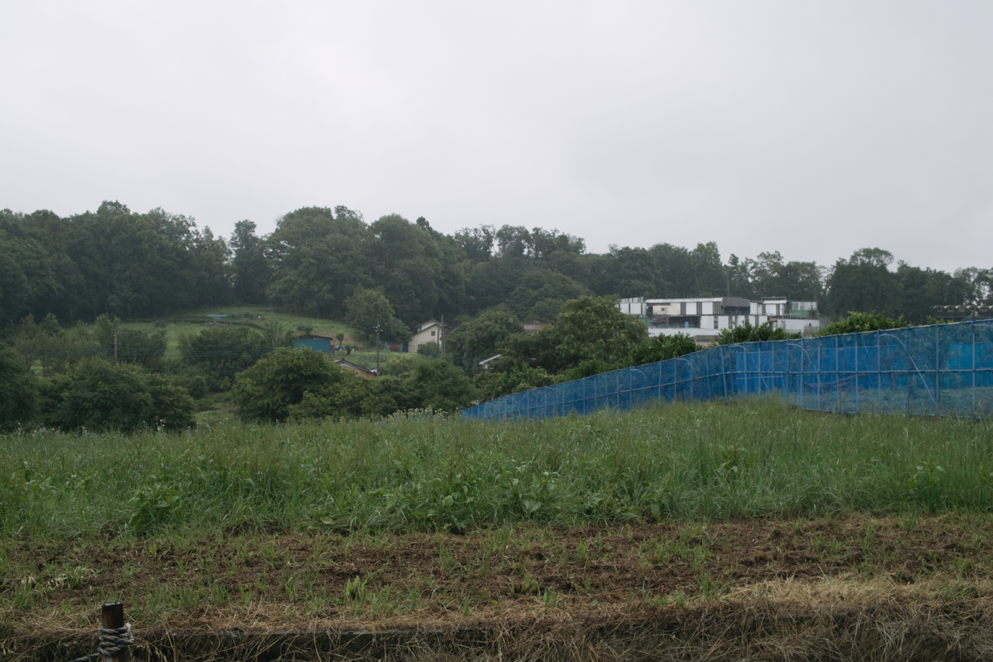 Tokorozawa, Iruma_Img