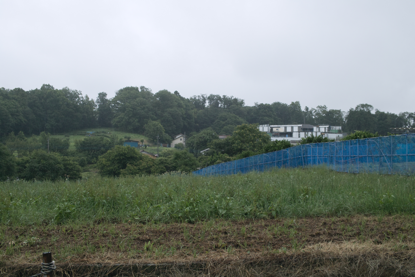 Tokorozawa, Iruma_Img