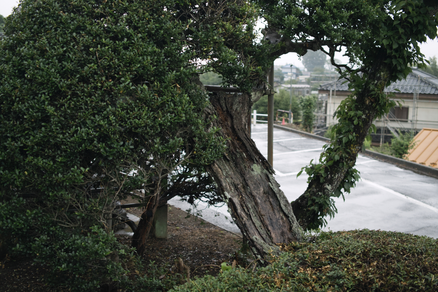 Tokorozawa, Iruma_Img