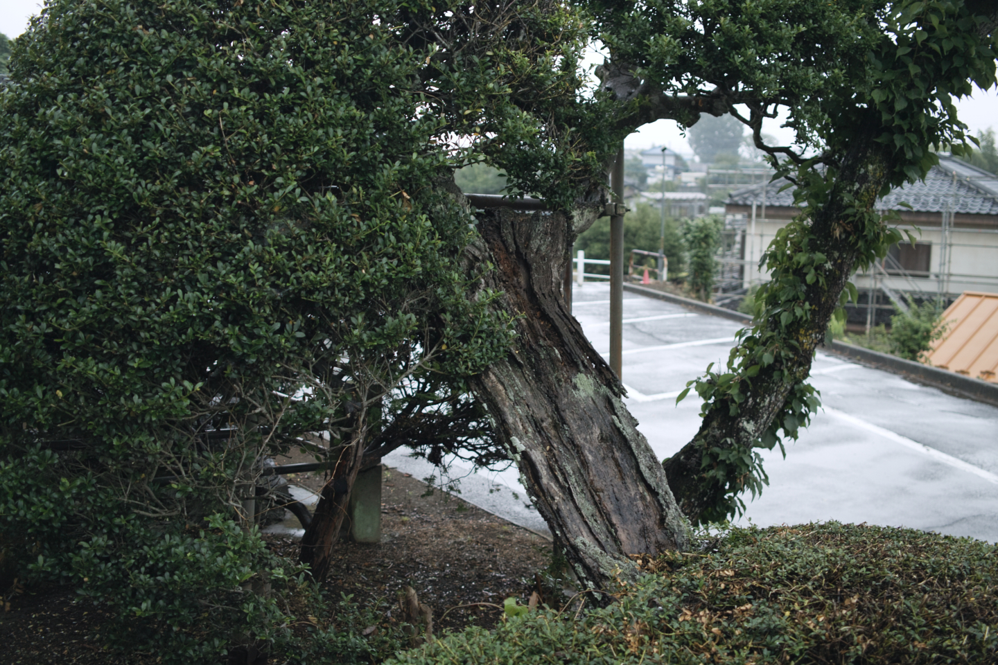 Tokorozawa, Iruma_Img