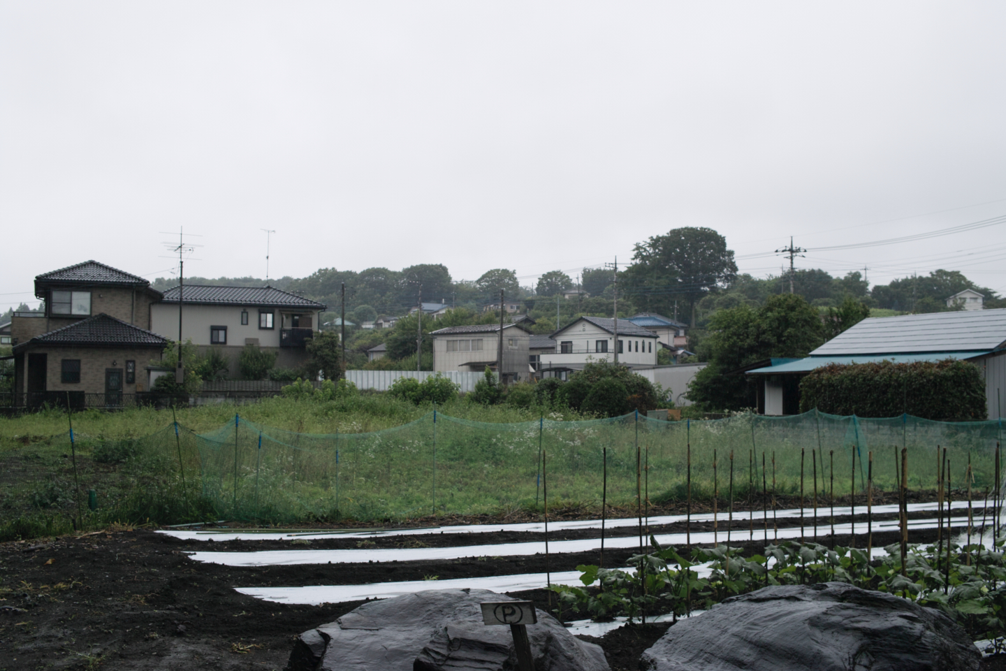 Tokorozawa, Iruma_Img
