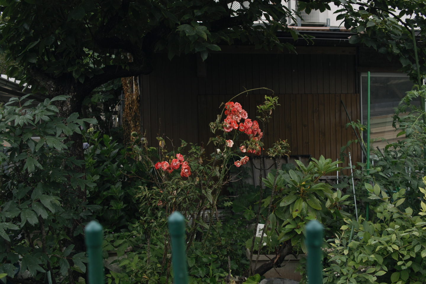 Tokorozawa, Iruma_Img