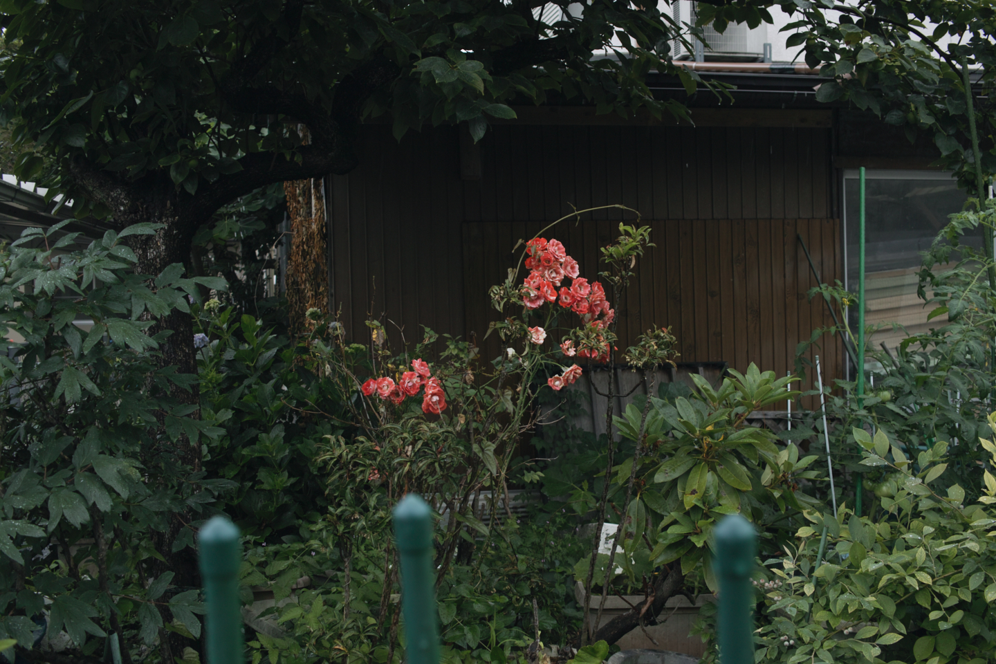 Tokorozawa, Iruma_Img