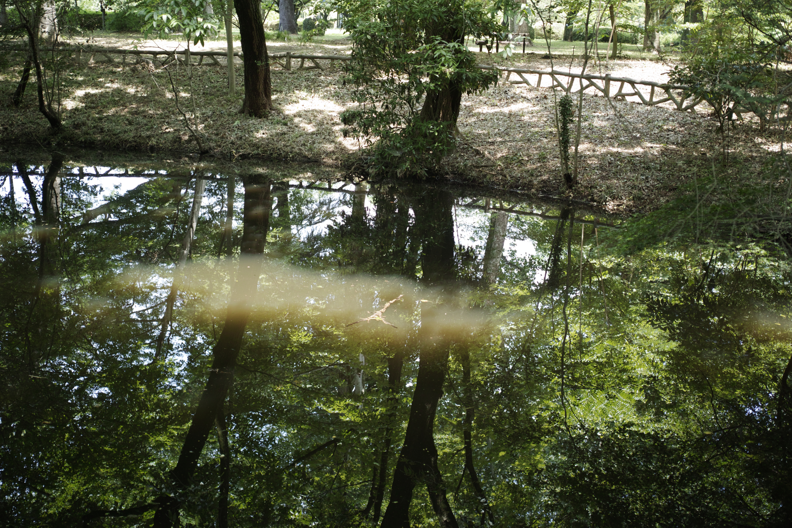 Jindaiji, Soshigaya, Shimo-Takaido_Img