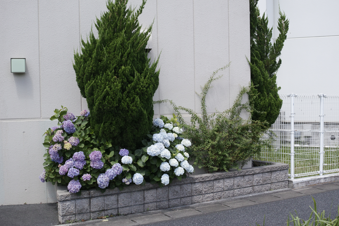 Kamishakujii, Chofu_Img