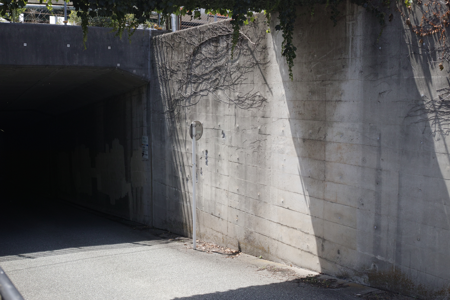 Kamishakujii, Chofu_Img