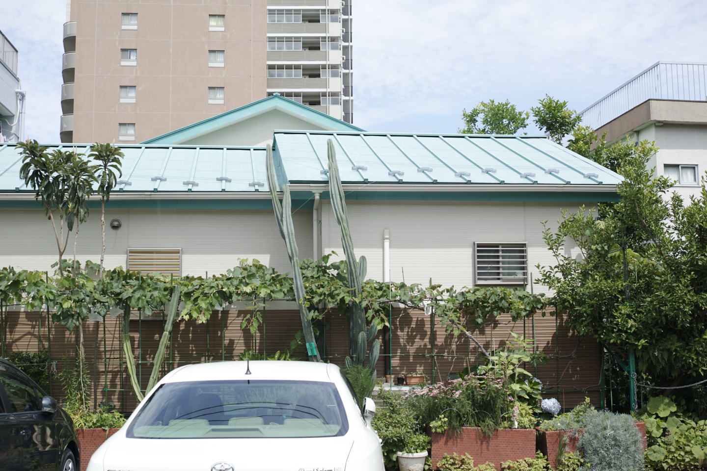 Kamishakujii, Chofu_Img