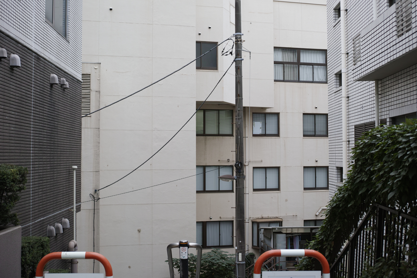 Yushima_Img