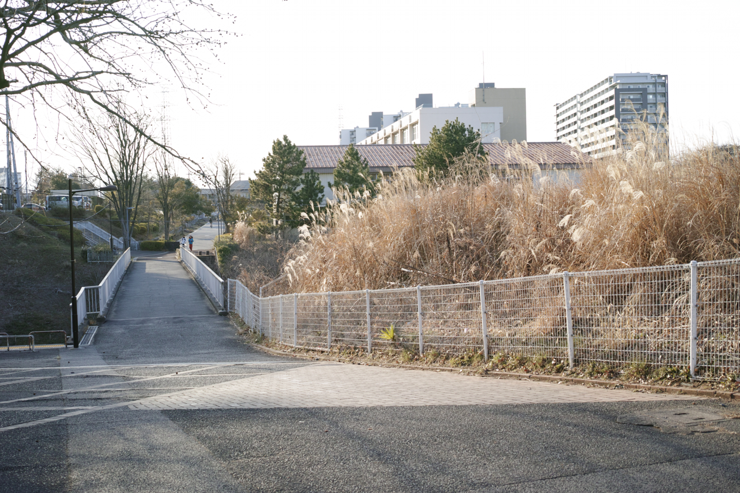 Minami-Tama, Wakabadai, Nagayama_Img