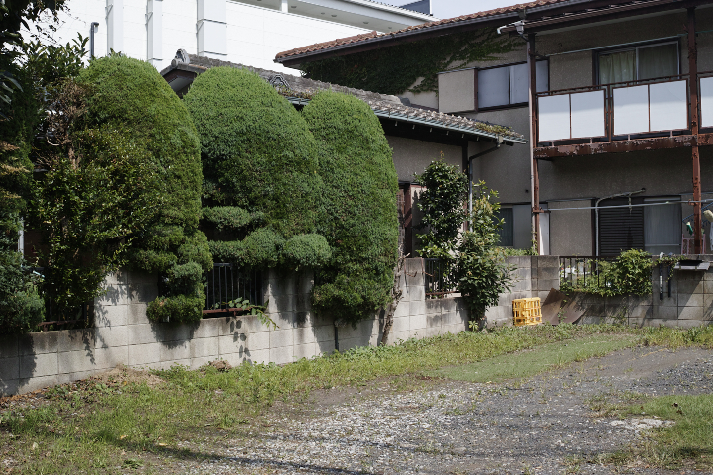 Kamishakujii, Iogi, Saginomiya, Umezato_Img