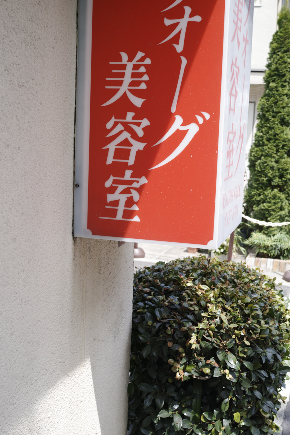 Kamishakujii, Iogi, Saginomiya, Umezato_Img