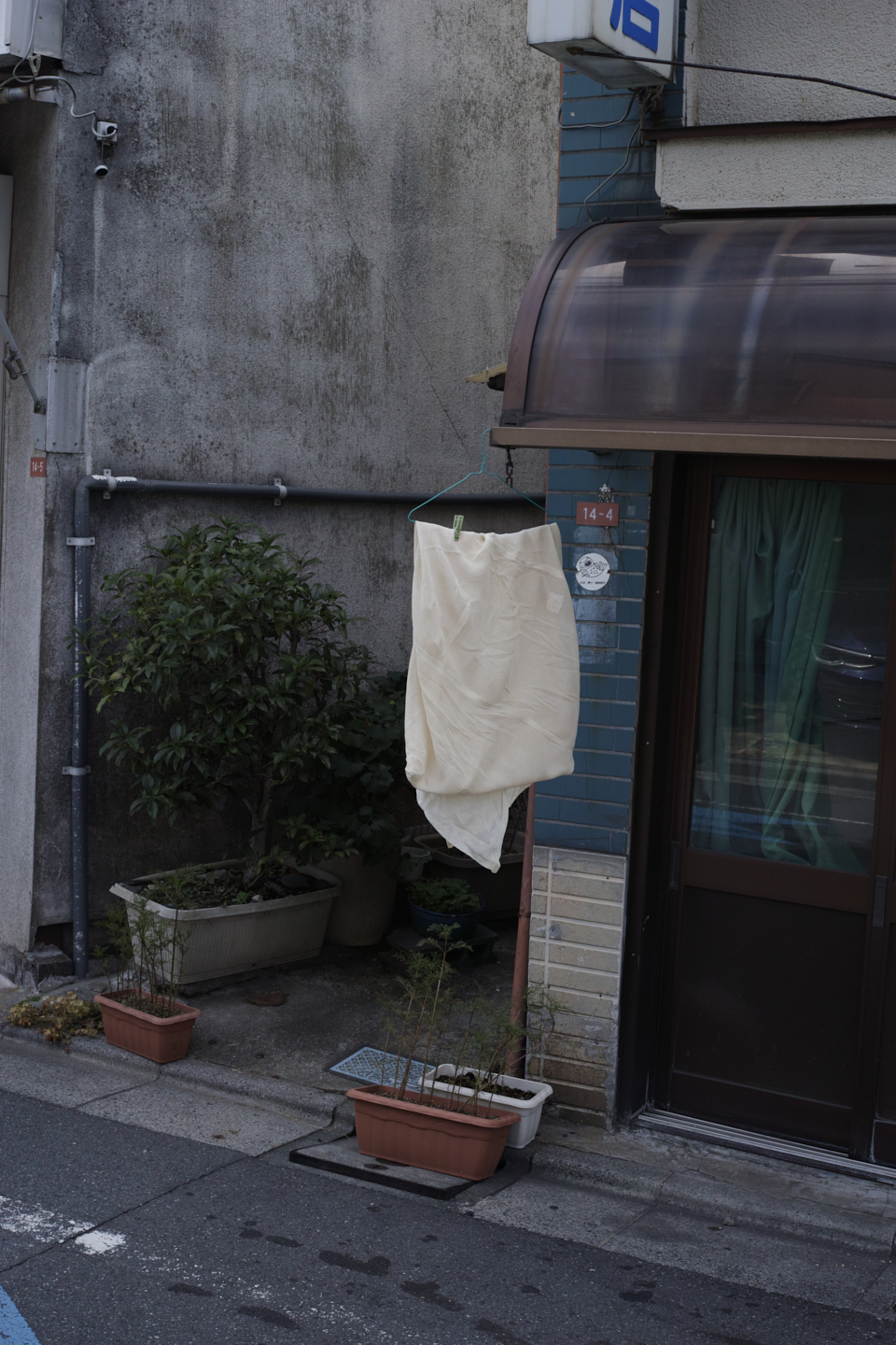 Kamishakujii, Iogi, Saginomiya, Umezato_Img