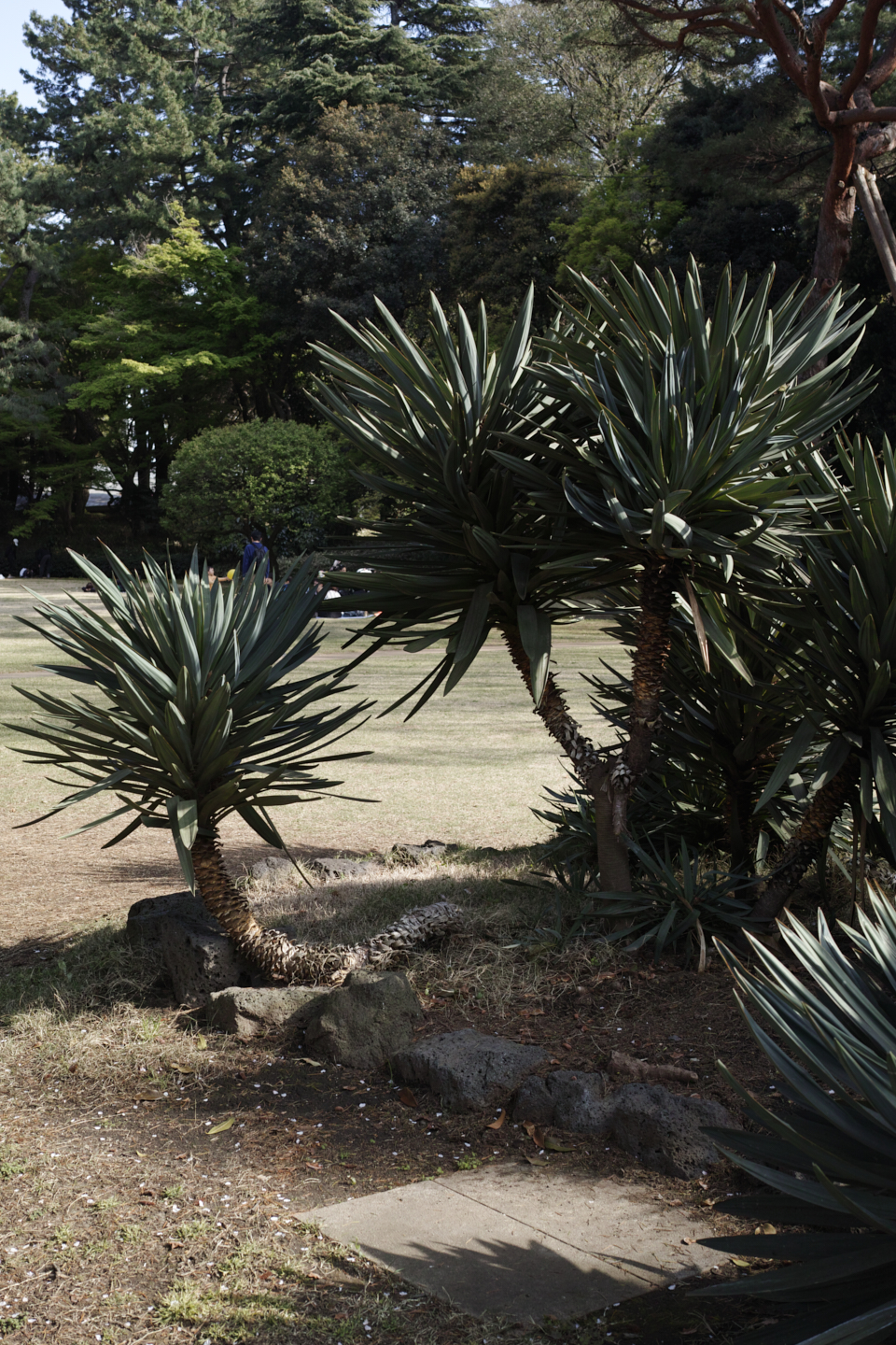 Meguro_Img