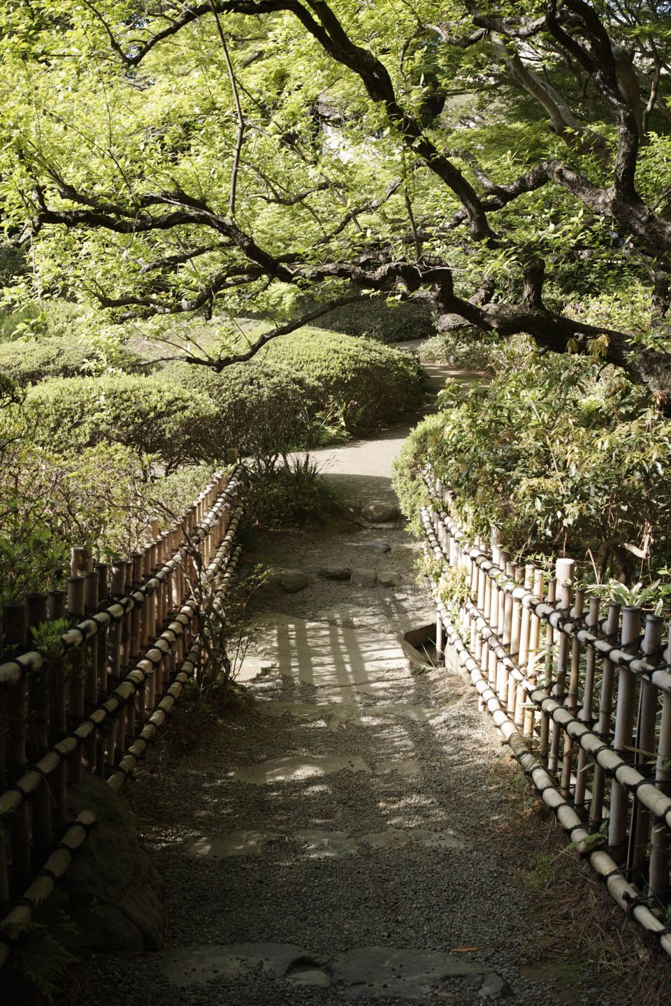 Meguro_Img