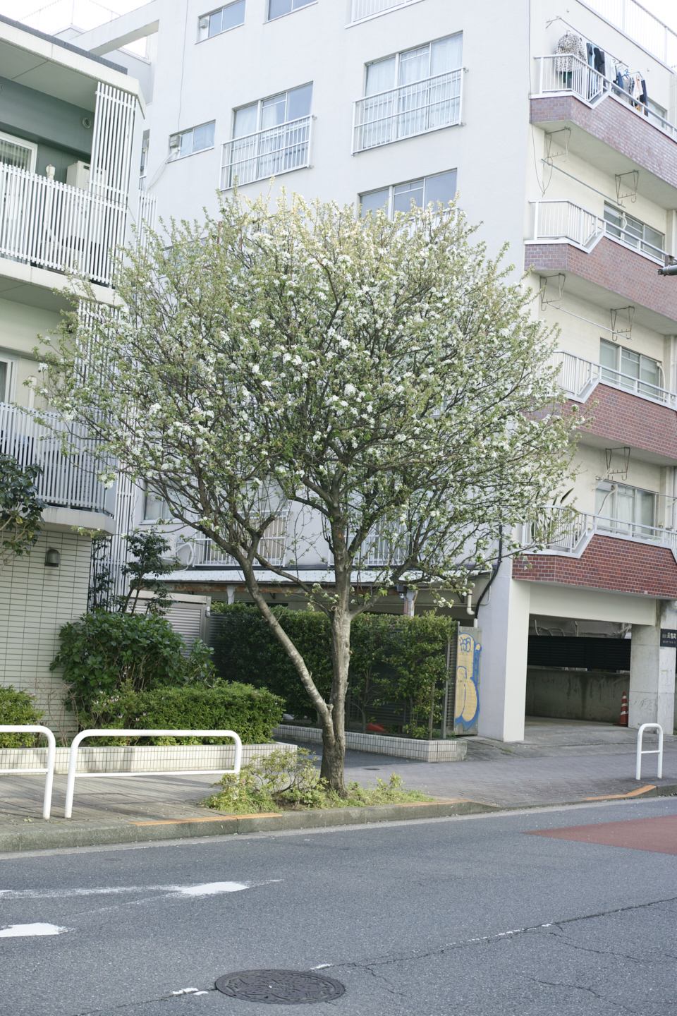 Meguro_Img