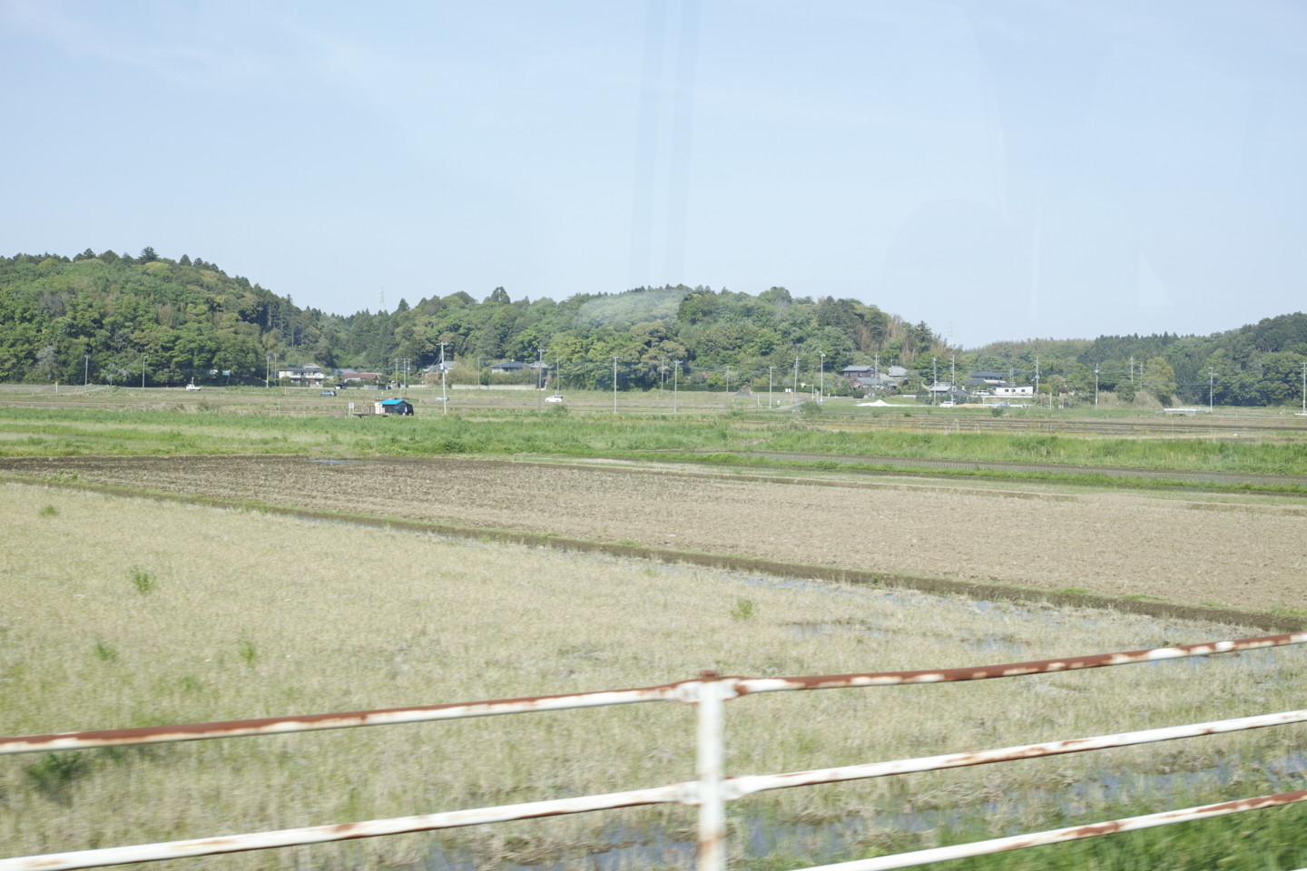 Sakura_Img