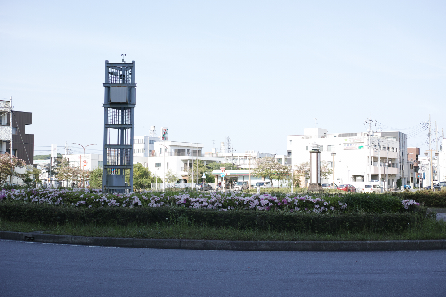 Sakura_Img