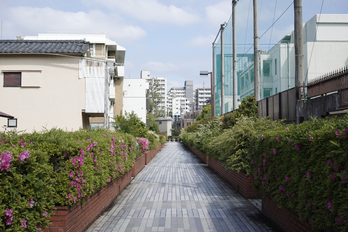 Nakano, Nakano-Sakaue_Img