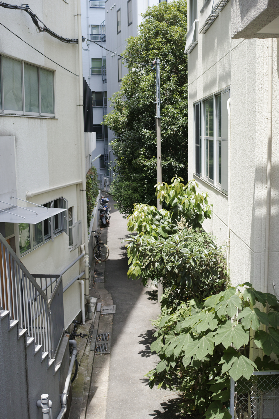 Higashi-Shinjuku, Waseda, Zoshigaya_Img