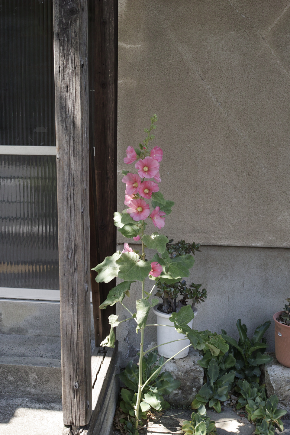 Higashi-Shinjuku, Waseda, Zoshigaya_Img