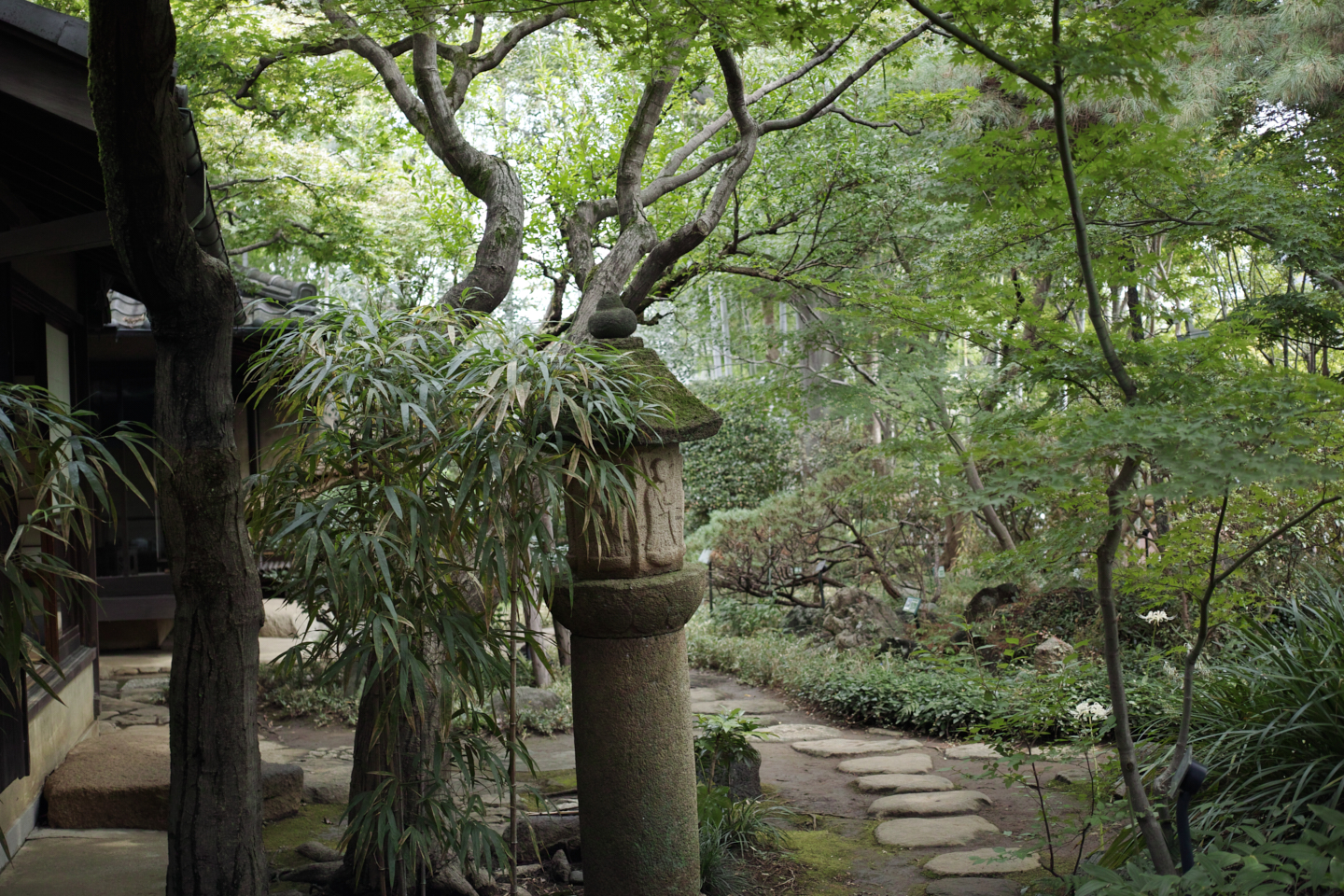 Nakai, Ochiai_Img