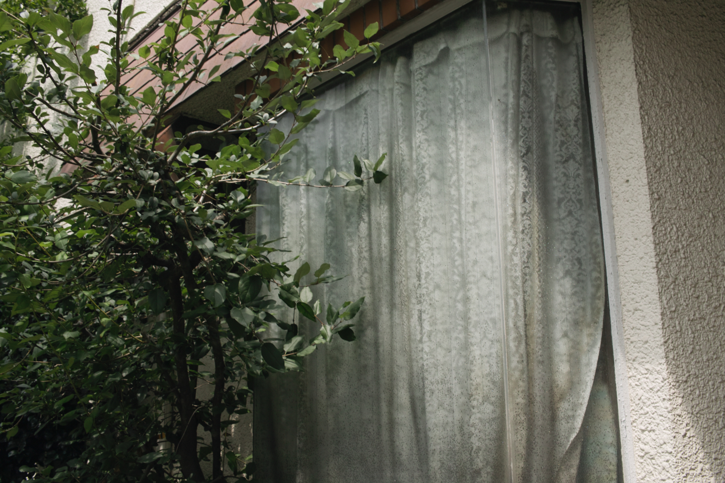 Asagaya, Harajuku, Shibuya_Img