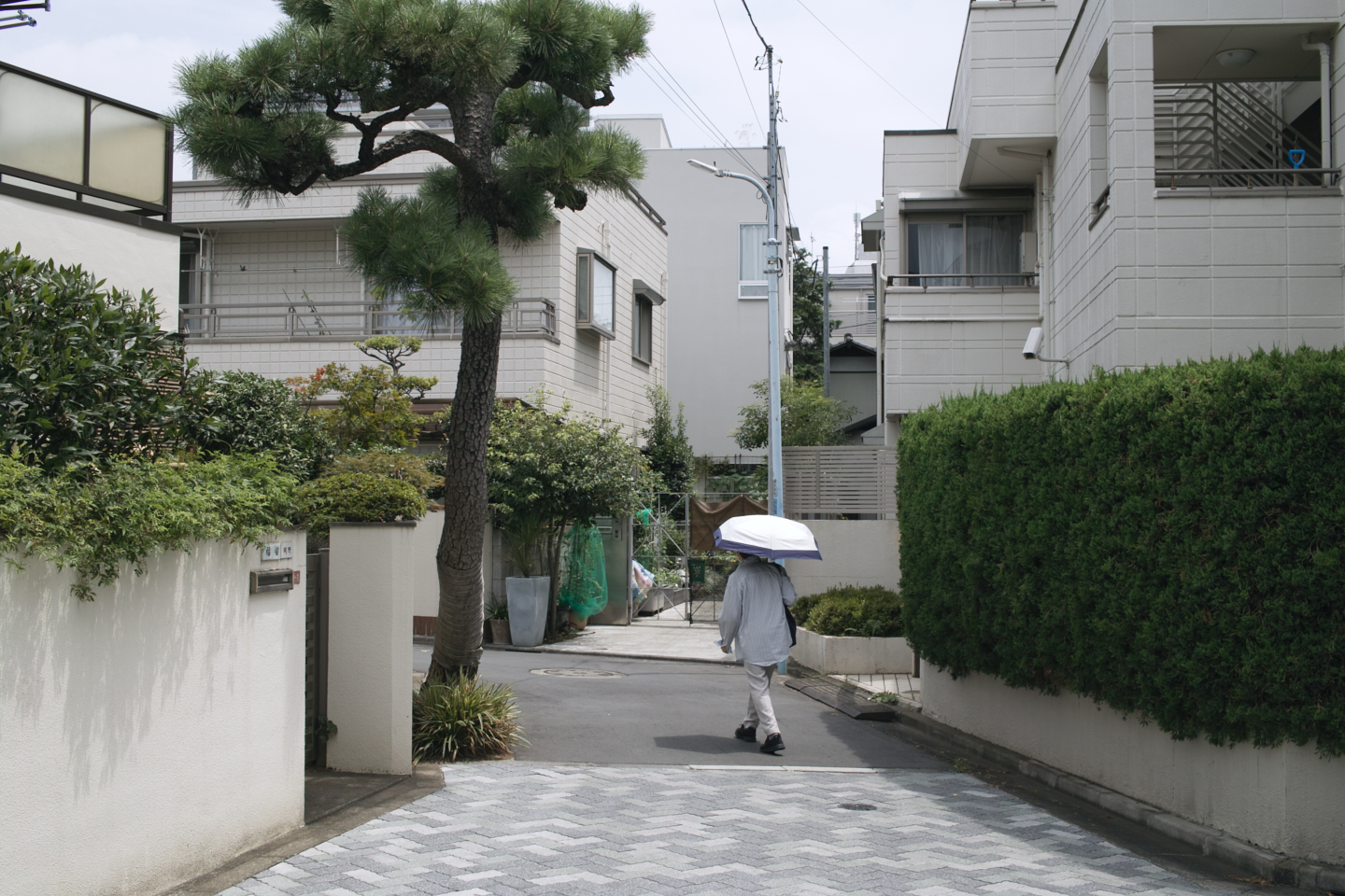 Asagaya, Harajuku, Shibuya_Img