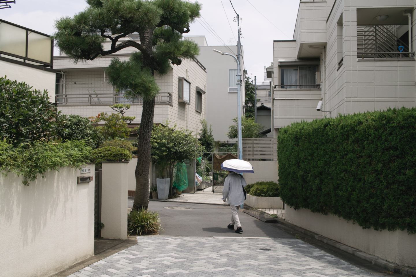 Asagaya, Harajuku, Shibuya_Img