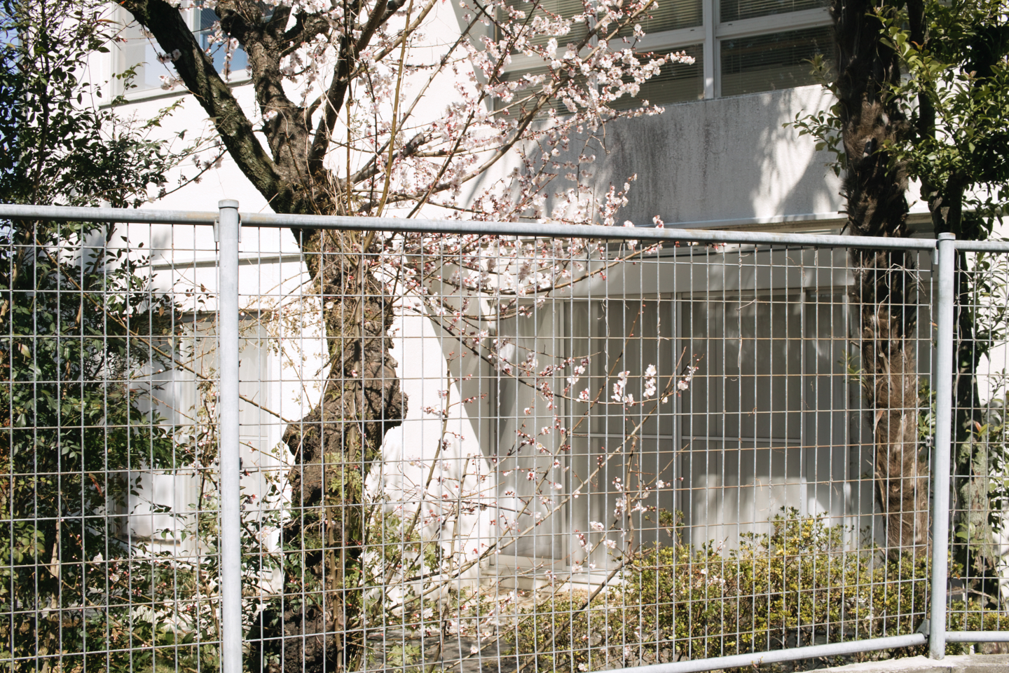 Wadabori, Nakano-Sakaue, Komagome_Img