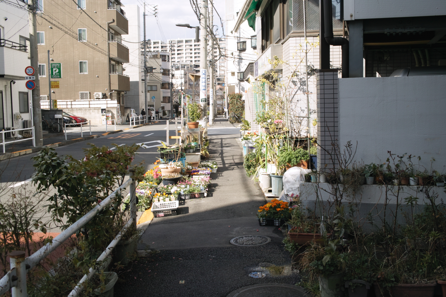 Wadabori, Nakano-Sakaue, Komagome_Img