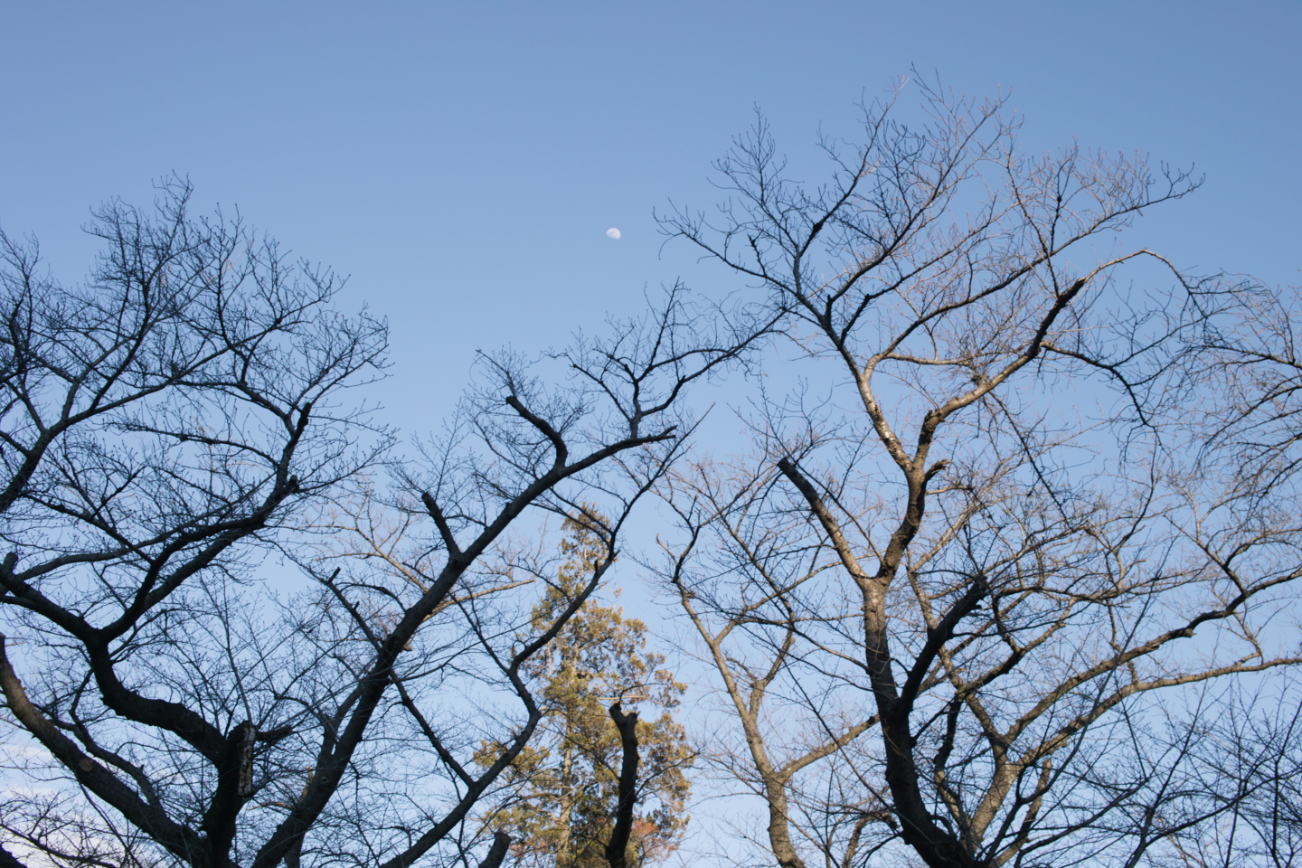 Wadabori, Nakano-Sakaue, Komagome_Img